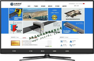 青浦网站建设的数字化转型与应用探索