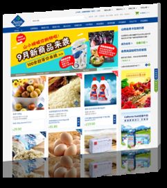 数字化转型引擎驱动 仁聚科技打造高端多领域网站建设与定制开发解决方案